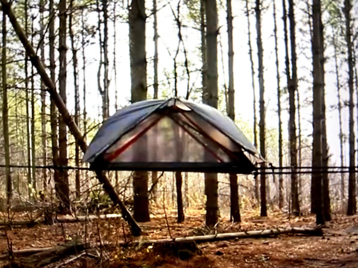 A suspended tent is seen between tall trees in a forest setting, featuring a durable top and transparent sides that allow natural light to enter. The surrounding area displays forest floor covered in fallen leaves and branches, providing a serene natural backdrop.
