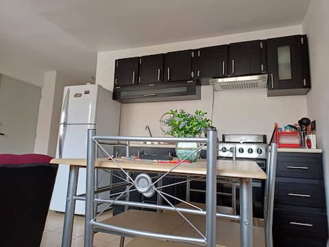 Cozy ground floor apartment near downtown, ind area