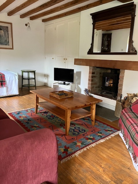 Acogedora sala de estar cómoda con estufa de leña