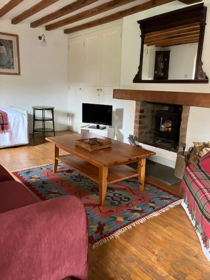 Уютна всекидневна с печка на дърва