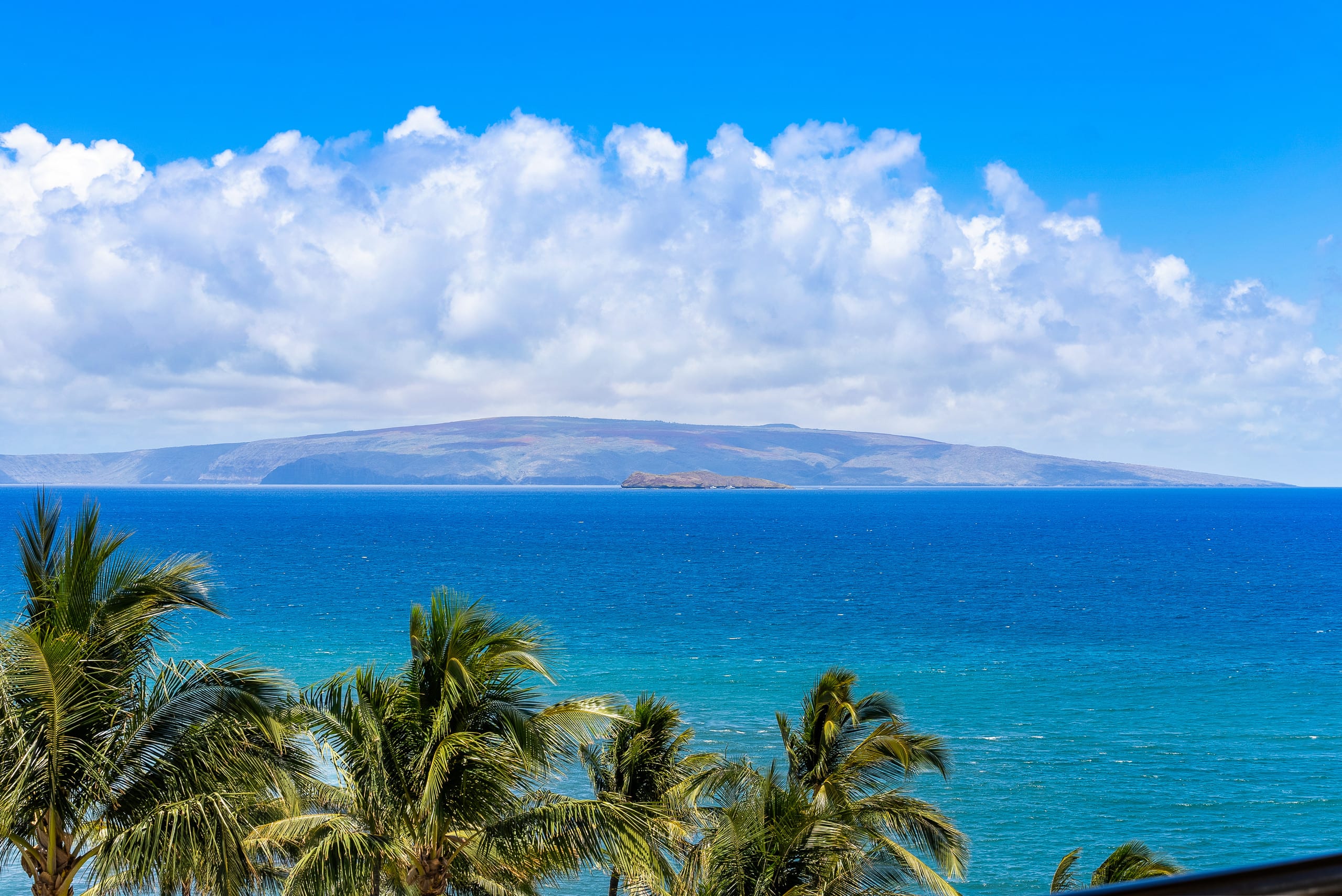 Fabulous Ocean Views - Luxury 2br/2ba Penthouse - Image 26