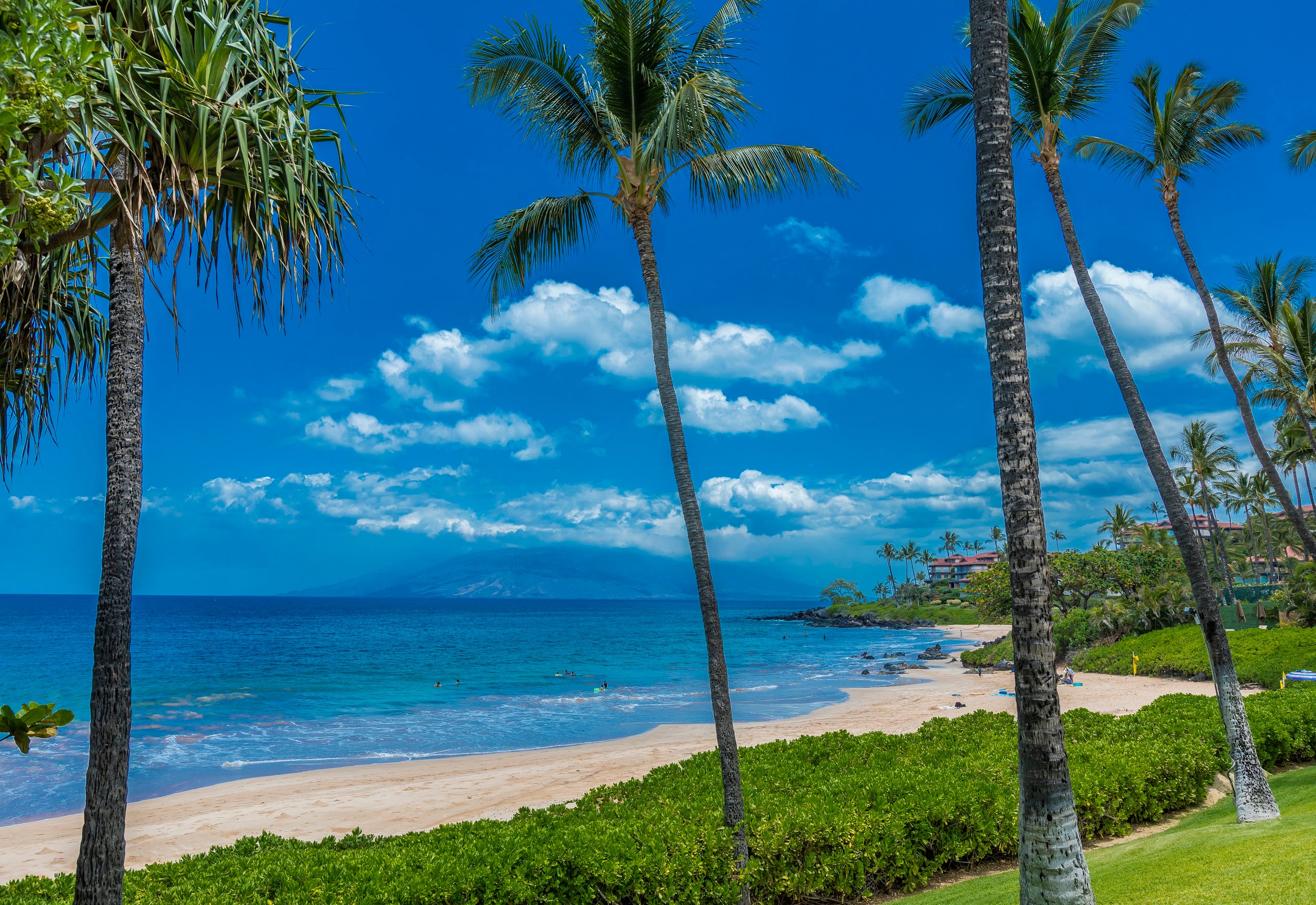 Fabulous Ocean Views - Luxury 2br/2ba Penthouse - Image 29