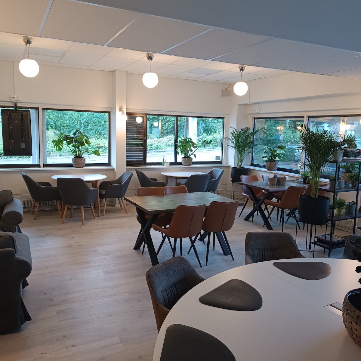 A communal dining area is arranged with multiple tables and chairs in varied styles. Natural light floods through large windows, highlighting several green plants placed throughout the space. Cozy seating options are available, providing a welcoming environment for guests to relax and socialize.