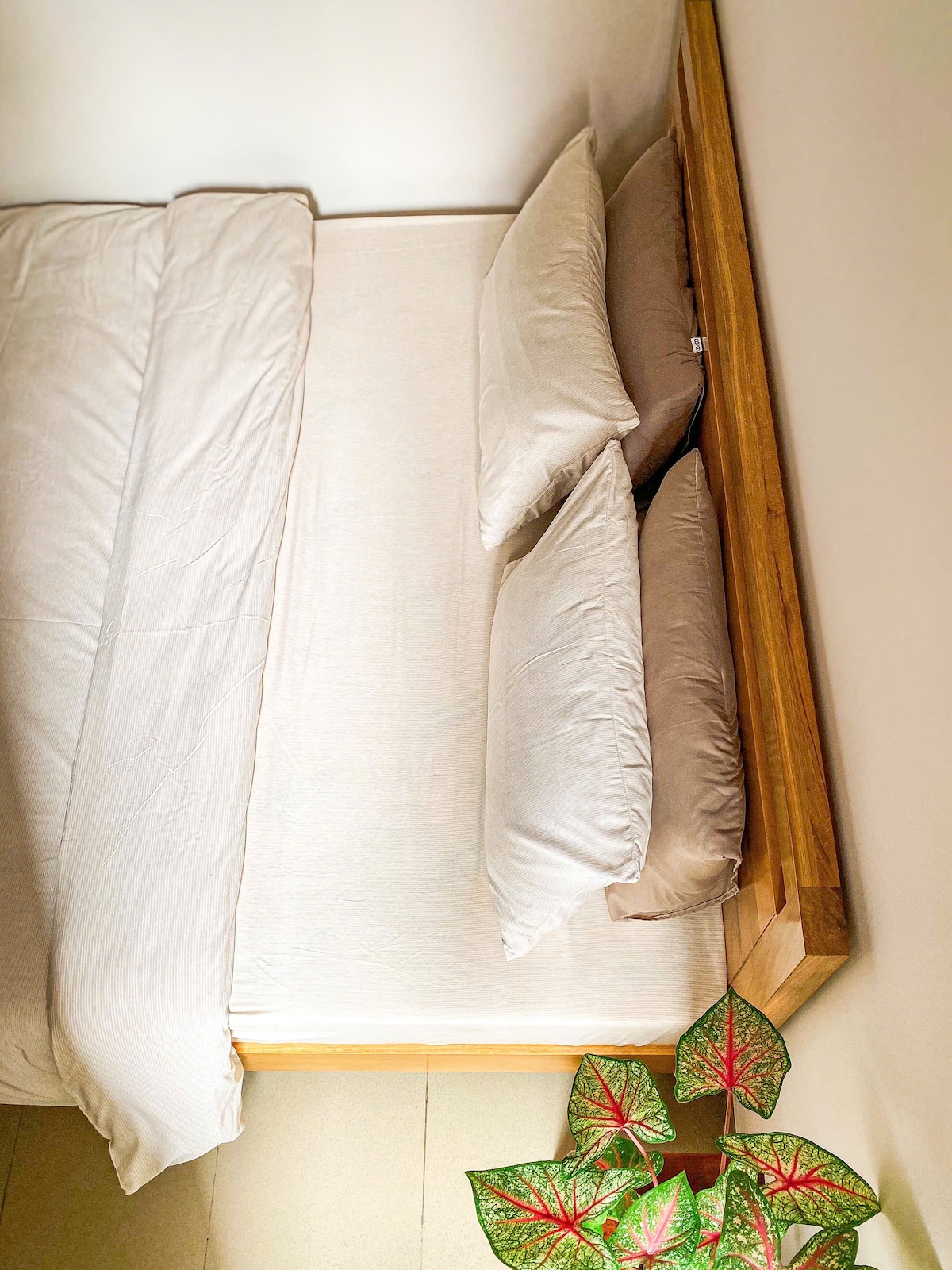 A spacious bed is seen from above, featuring light-colored bedding and two soft pillows positioned against a wooden headboard. A plant with vibrant green and red leaves is visible at the foot of the bed, adding a touch of nature to the room.