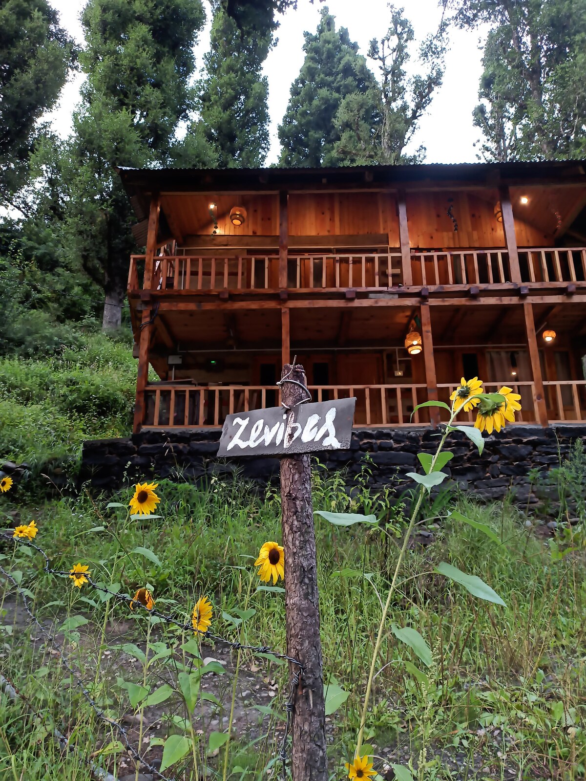 A rustic wooden cabin is positioned on a hillside, surrounded by tall trees. A sign marked 'Zeribez' is affixed to a post in the foreground, next to vibrant sunflowers. The cabin features a balcony with wooden railings, illuminated by soft lighting.