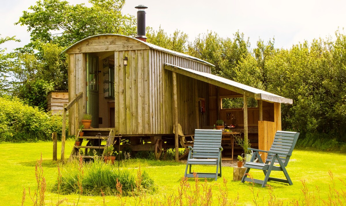 A rustic Shepherd's hut is situated on a grassy area, surrounded by greenery. It features a wooden exterior with a covered porch area. Two outdoor chairs are placed nearby, inviting relaxation in the peaceful rural setting.
