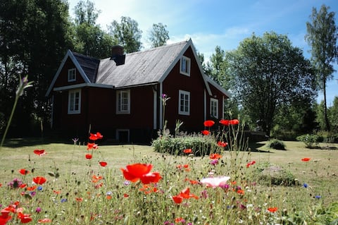 Idyllic Swedish island.
