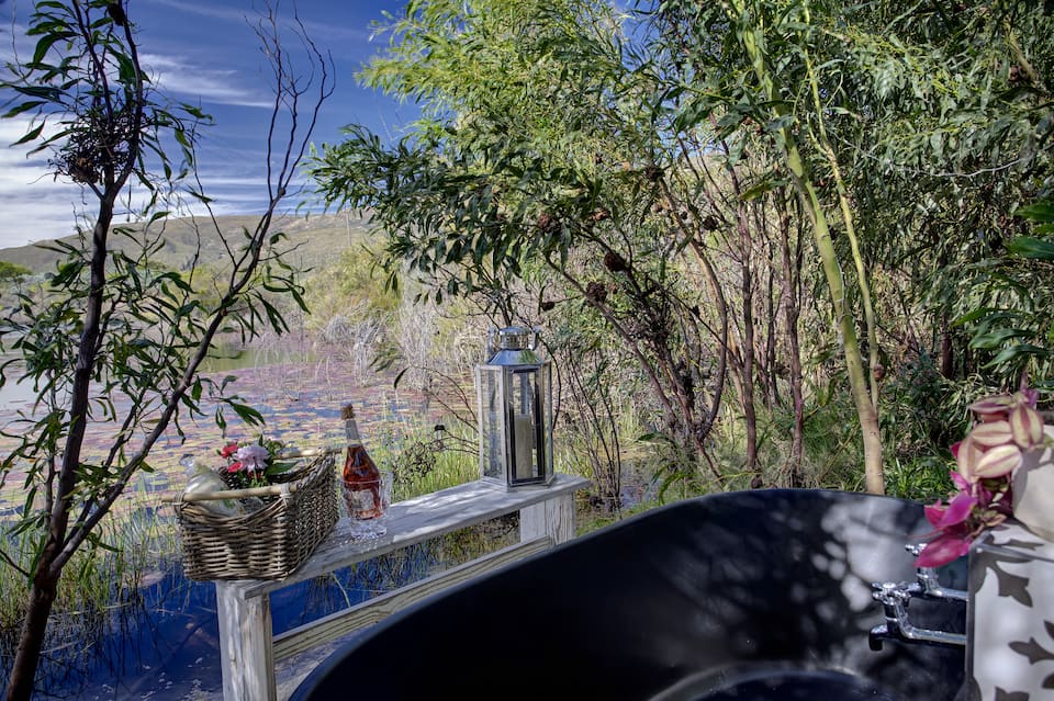 Lily Pond, on a Worcester wine farm, Worcester, Western Cape, South Africa, photo 3 of 10