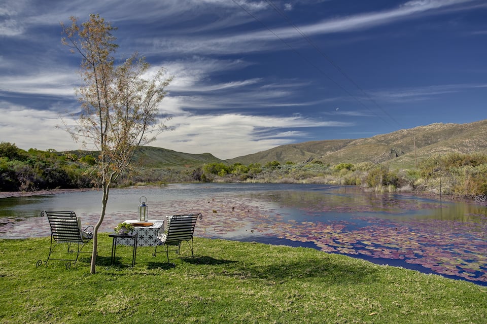 Lily Pond, on a Worcester wine farm, Worcester, Western Cape, South Africa, photo 8 of 10