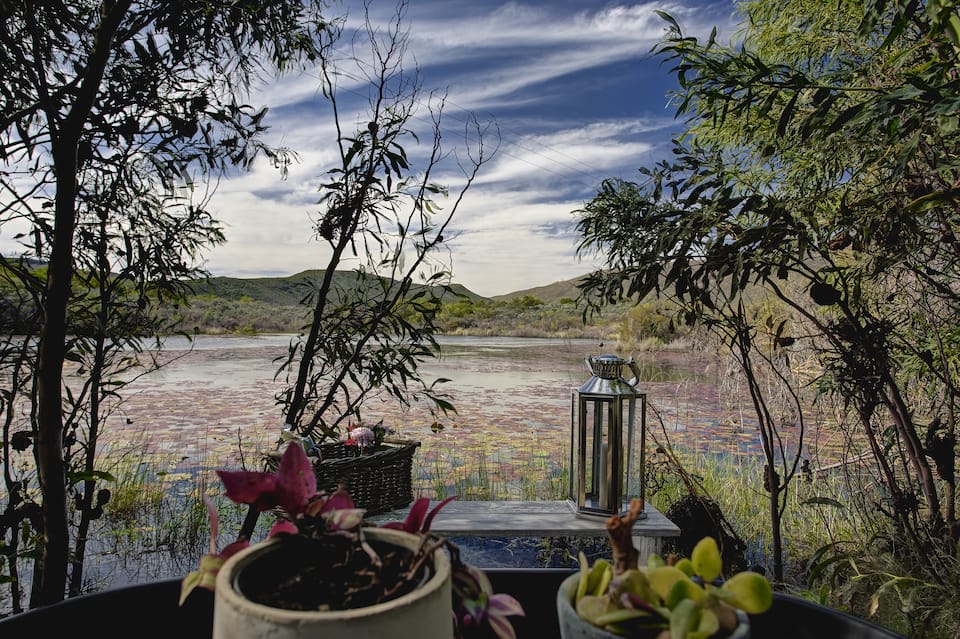 Lily Pond, on a Worcester wine farm, Worcester, Western Cape, South Africa, photo 10 of 10