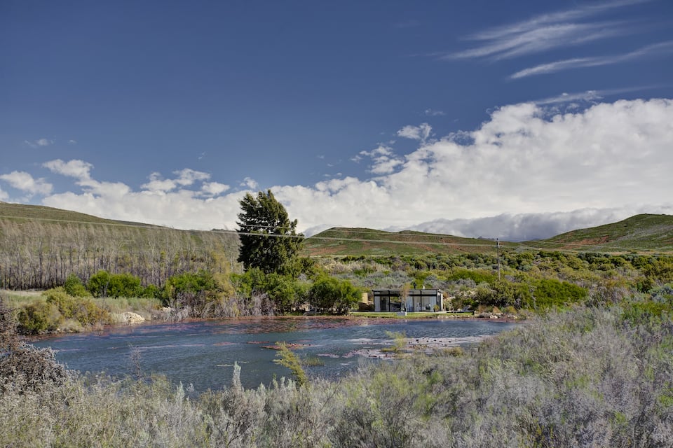Lily Pond, on a Worcester wine farm, Worcester, Western Cape, South Africa, photo 5 of 10