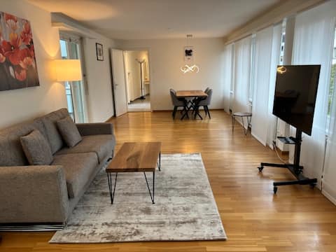 Successful Airbnb property: Cozy 1 bedroom in the center (D11) in Mühlebach