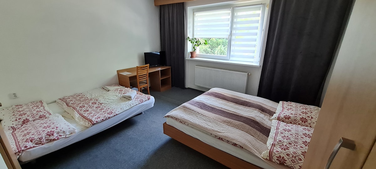 A serene sleeping area is presented, featuring a spacious bed alongside a single bed. Natural light filters through a large window adorned with sheer blinds. A wooden desk and chair complete the room, accompanied by a small green plant on the window sill.