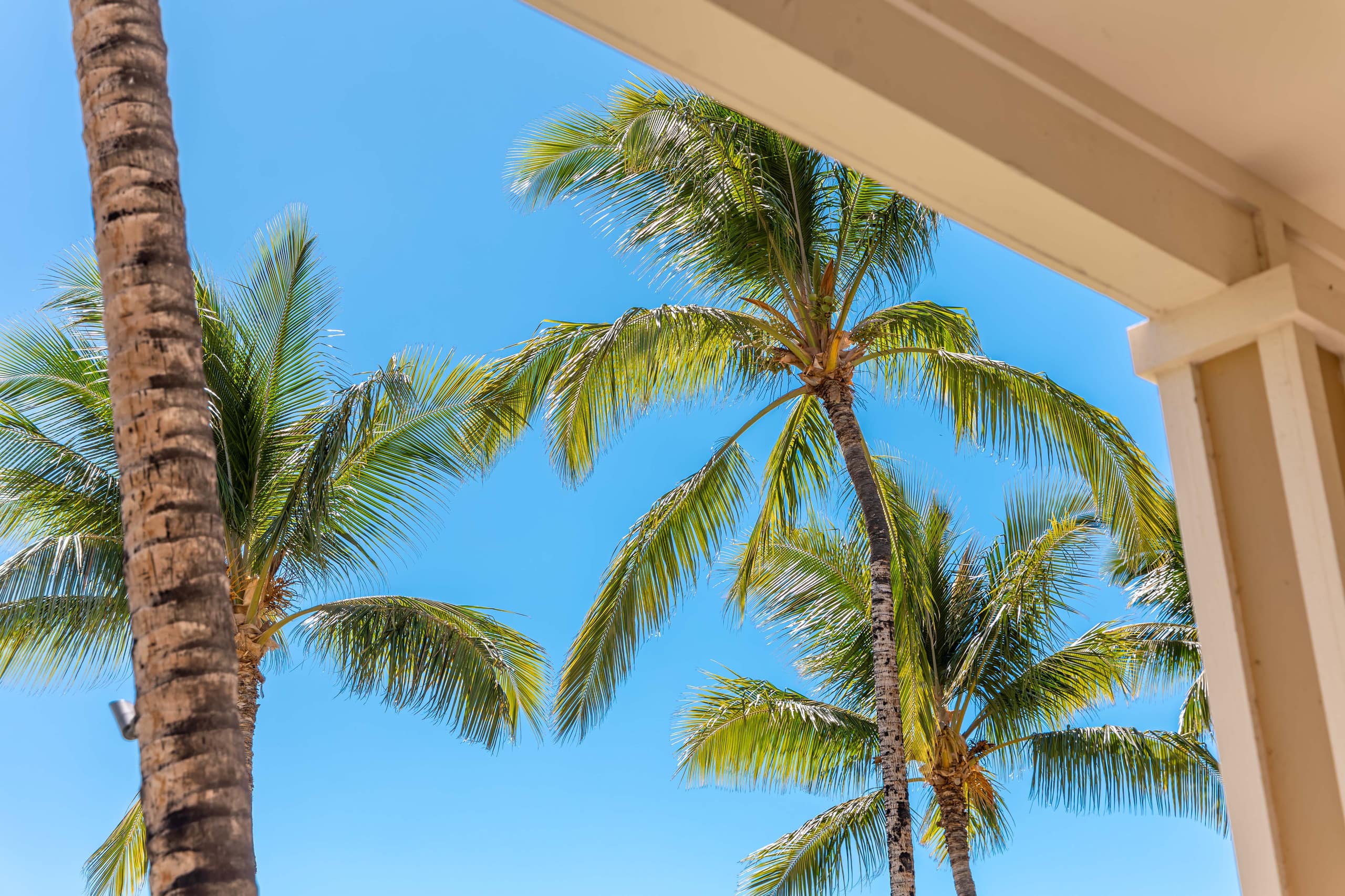 Updated, 1st Floor, Hilton Pool, Sunset Views - Photo 73