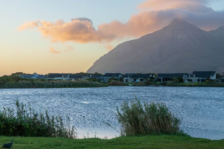 Eco Estate Life gallery image 5