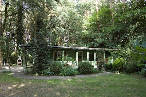 Humboldt House, surrounded by forest!