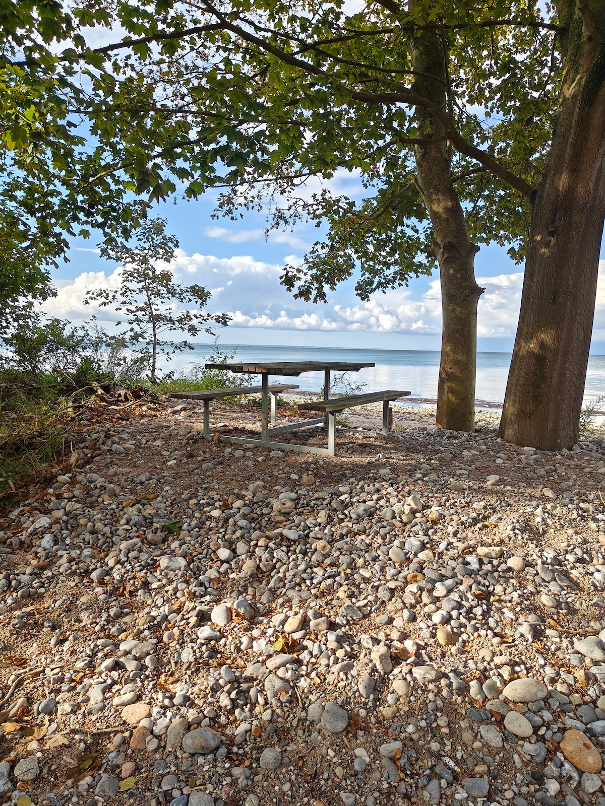 A picnic table is set amidst a rocky shoreline, surrounded by trees offering shade. The calm water reflects the sky, with soft clouds visible in the background. The natural setting invites relaxation and enjoyment of the peaceful surroundings.