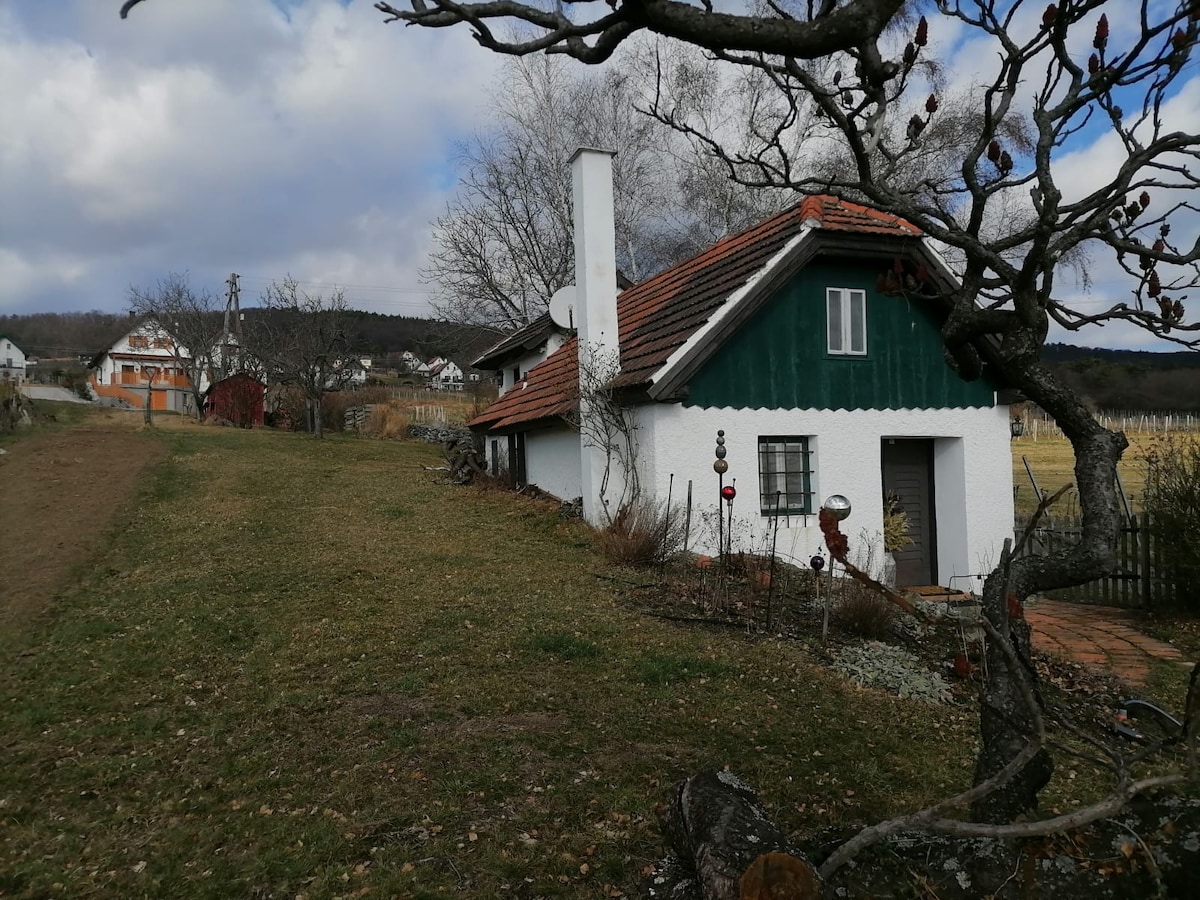 A charming building with a green and white exterior is nestled among gently sloping grounds. Nearby trees provide dappled shade, and a pathway leads toward the property, which is surrounded by an inviting landscape of greenery and distant vineyards.