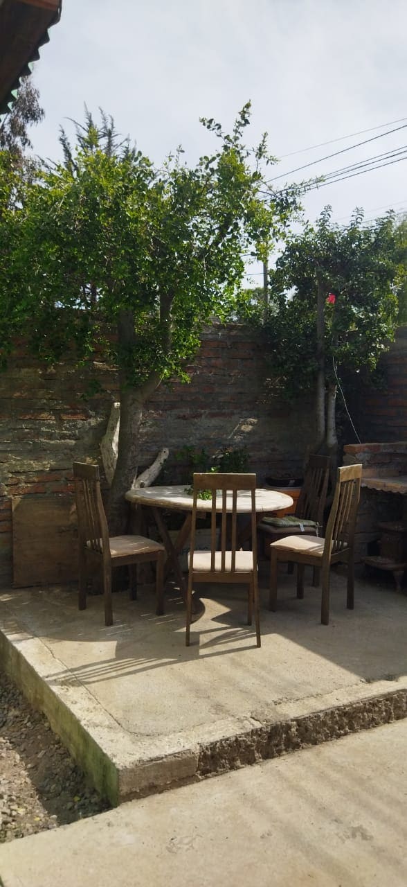 An outdoor seating area is shown, featuring a round table surrounded by six wooden chairs. Two trees provide shade, and a stone grill is visible nearby. The concrete surface offers a clean and functional space for relaxation.