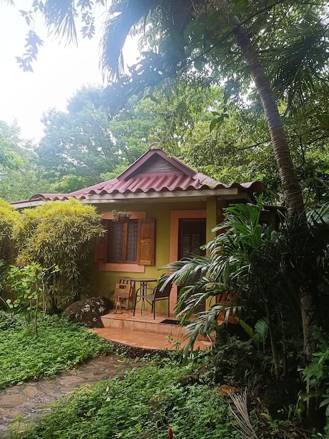 Rustic AC Oasis on Ometepe Island