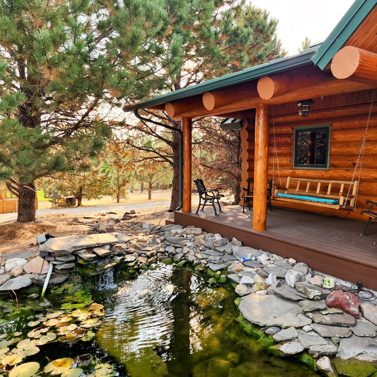 A charming log home features a covered porch with a blue swing and dark chairs. A serene pond with lily pads and smooth stones is located at the base of the porch, surrounded by tall pine trees, providing a tranquil outdoor setting.