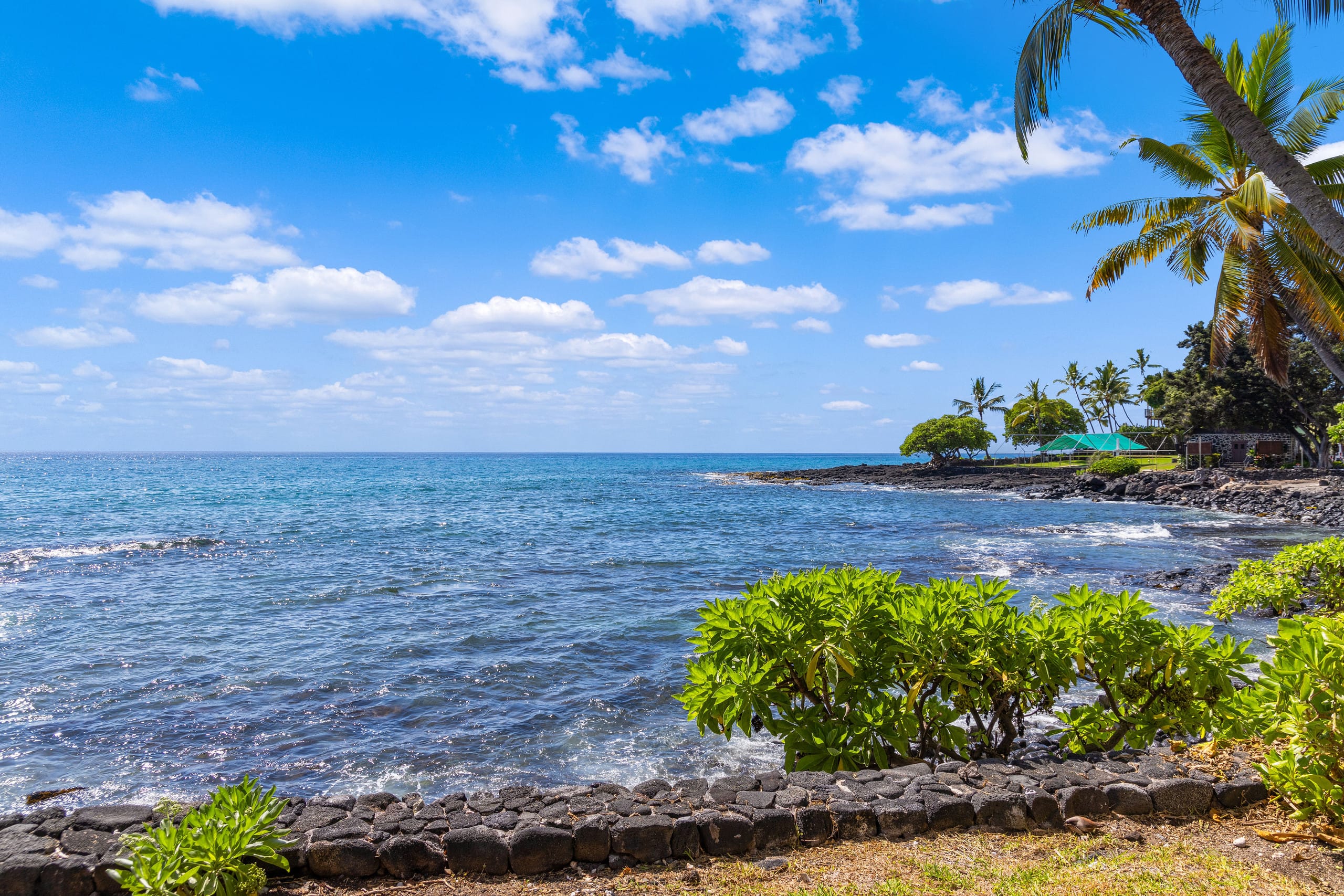 Condo in Kailua-Kona · ★4.82 · 1 bedroom · 2 beds · 1 private bath - Image 27
