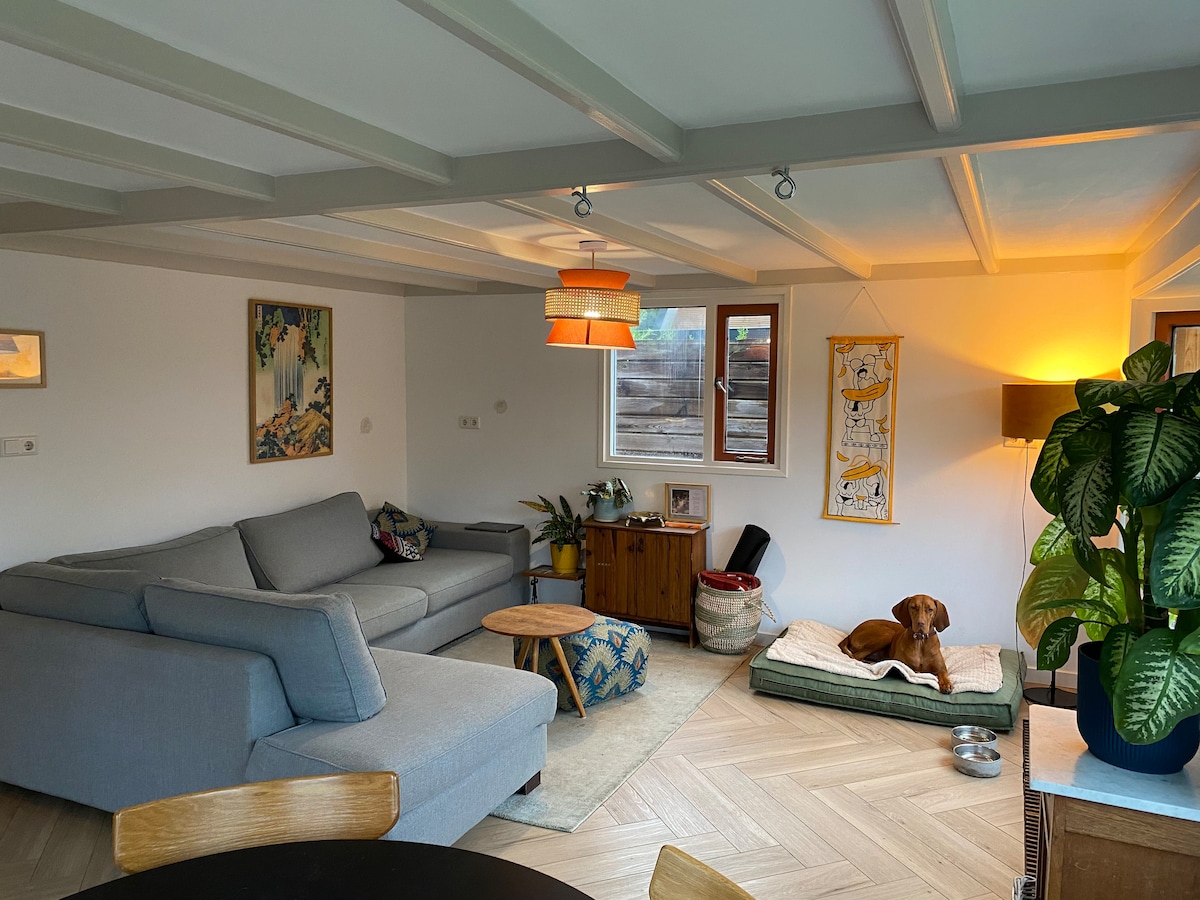 A welcoming living area features a spacious grey couch, complemented by a round wooden coffee table. A warm light fixture illuminates the space, with a cozy dog bed placed on the floor. Natural light enters through windows, enhancing the relaxed atmosphere.