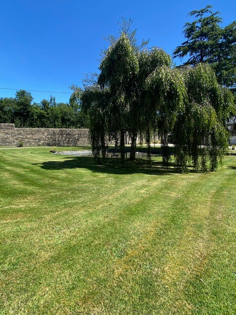 A sunny, manicured garden area features an expansive lawn bordered by a stone wall. A graceful tree with cascading branches stands towards the center, providing shade. The vibrant green grass is accentuated by carefully maintained stripes, inviting peaceful outdoor moments.