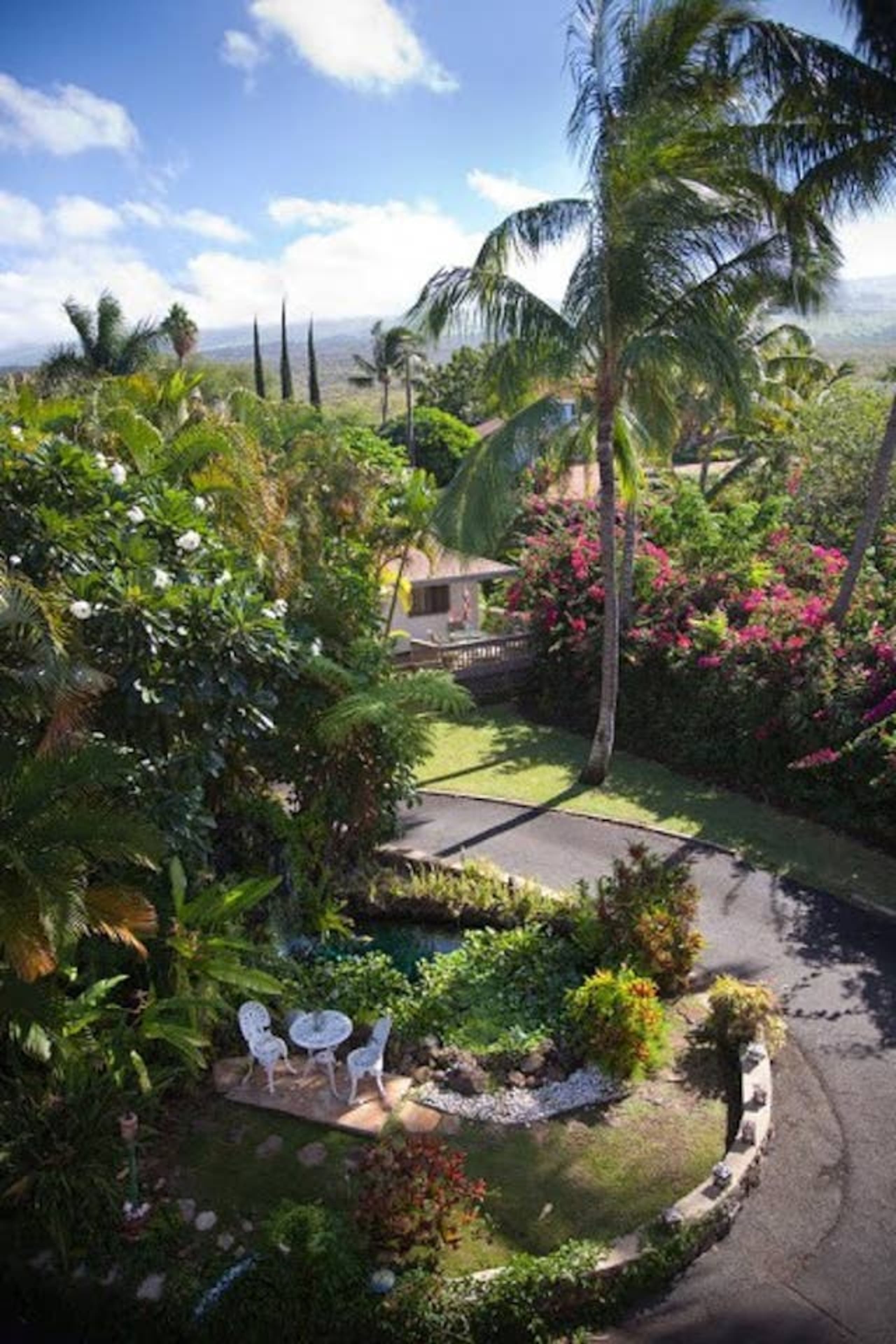Guesthouse in Kihei · ★4.92 · 1 bedroom · 1 bed · 1 private bath - Image 5