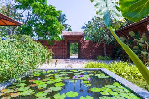 Jomo Resort - Pool Villa