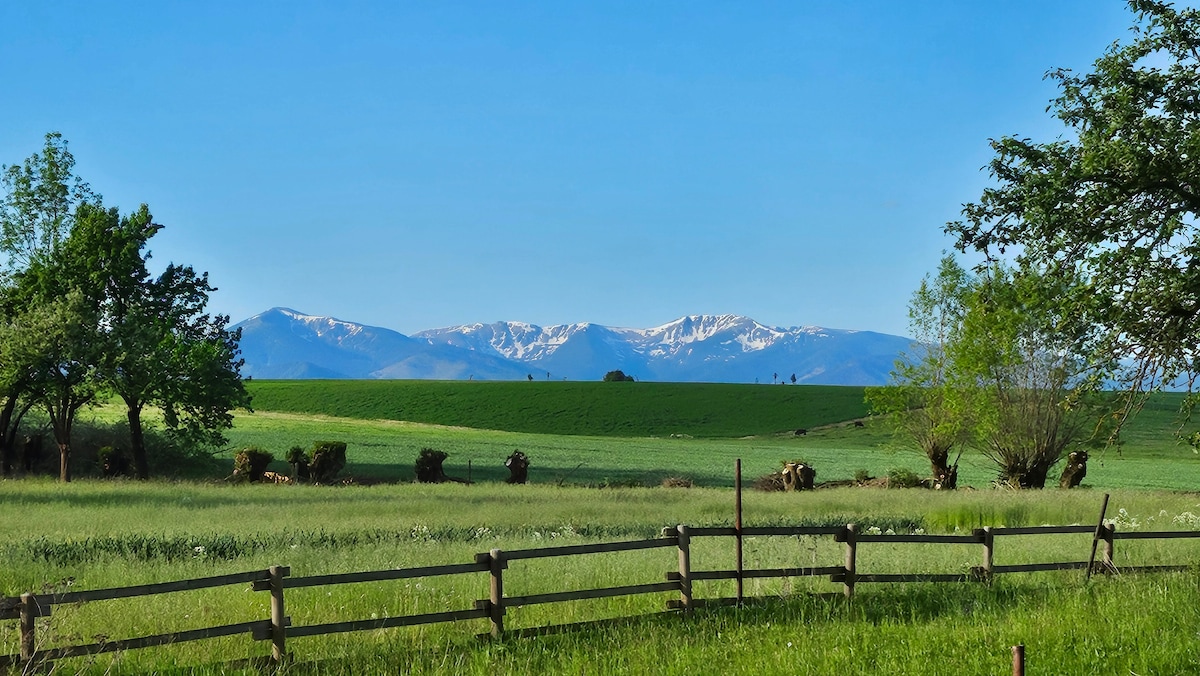 A scenic view is presented, featuring rolling green fields that extend towards a backdrop of snow-capped mountains under a clear blue sky. A wooden fence runs along the foreground, while trees and pastureland accentuate the serene landscape.