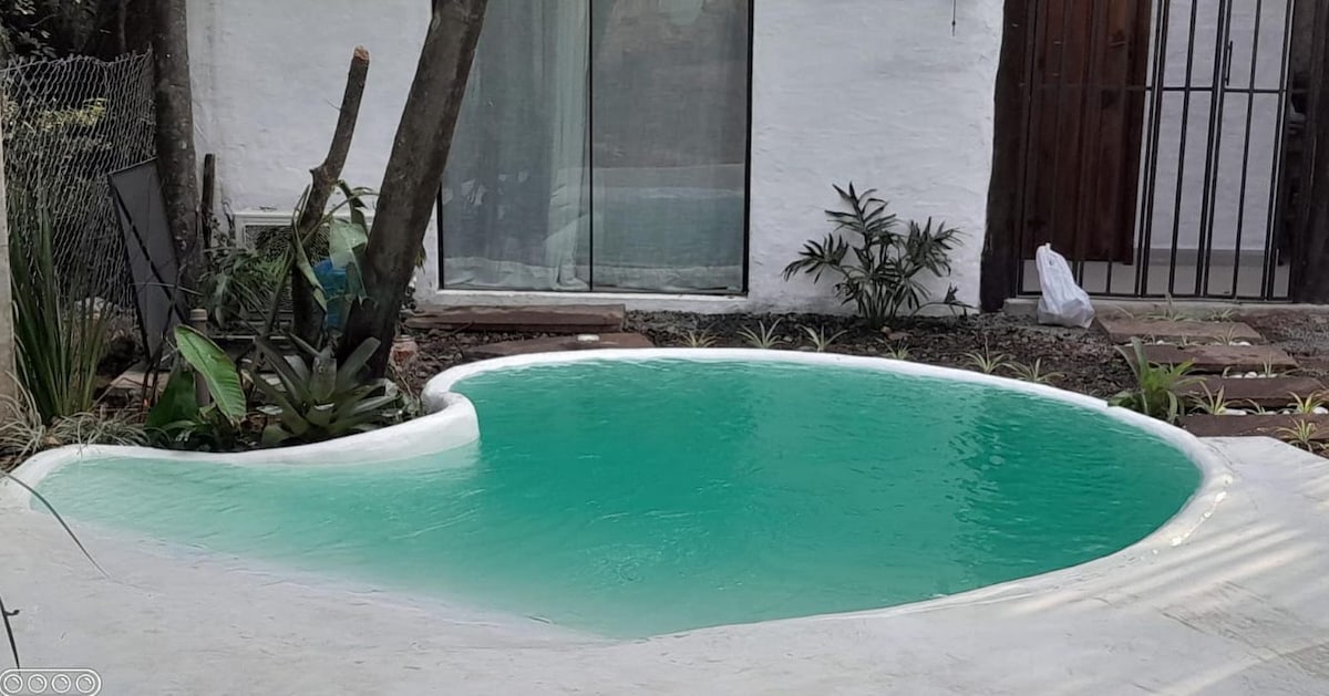 A small beach-style pool is surrounded by lush greenery and smooth white decking. The tranquil water invites relaxation, while the natural elements create a harmonious outdoor space. Glass doors of the nearby structure can be seen in the background.