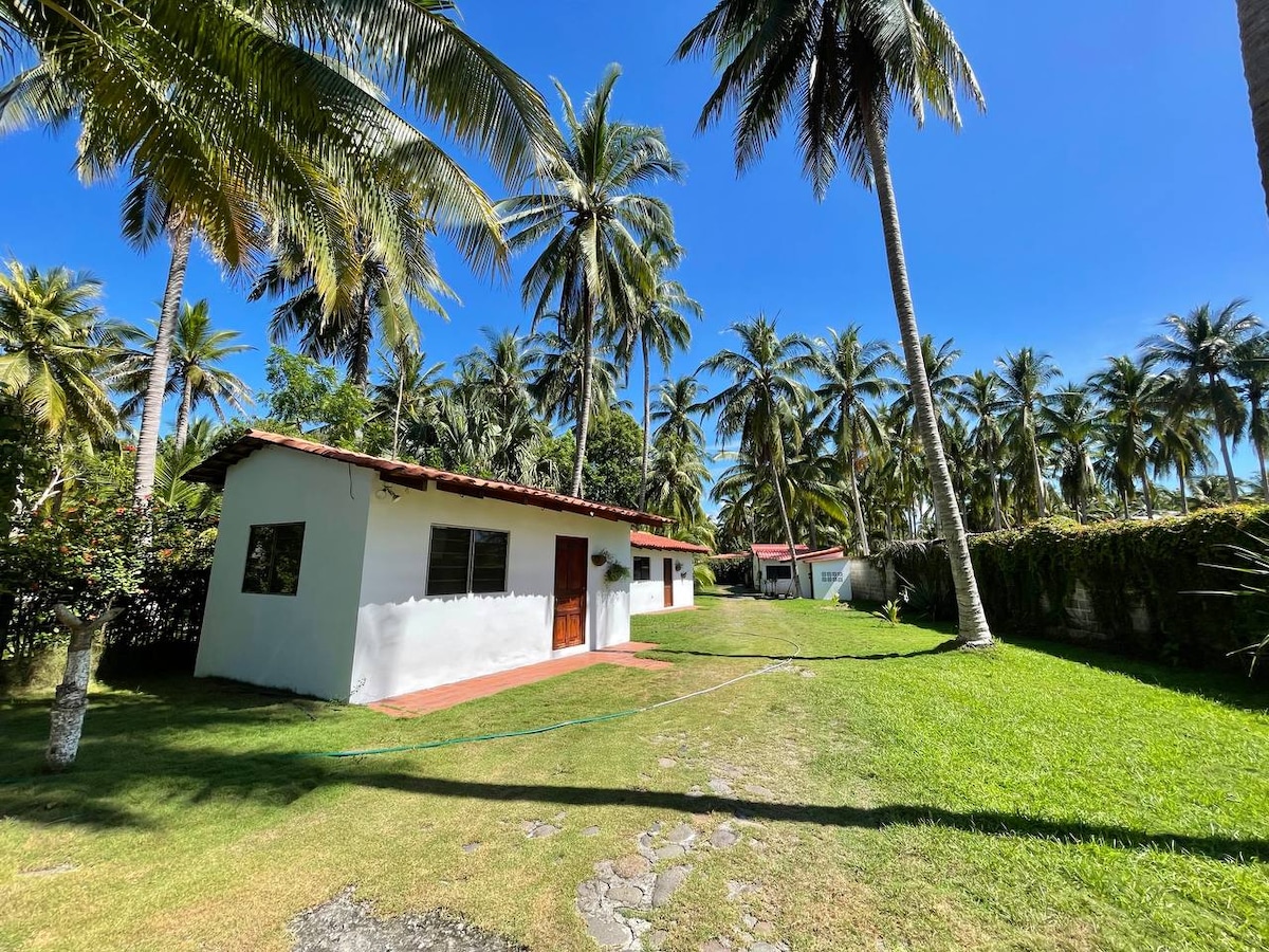 A charming white bungalow is nestled among tall palm trees, creating a serene outdoor space. A well-maintained garden path leads to the entrance, while lush green grass surrounds the area, inviting relaxation under clear blue skies.