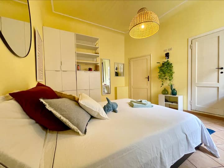 Casa Saludable Suite Privada Caracciolo Departamentos En Renta En Casa saludable suite privada caracciolo departamentos en renta en