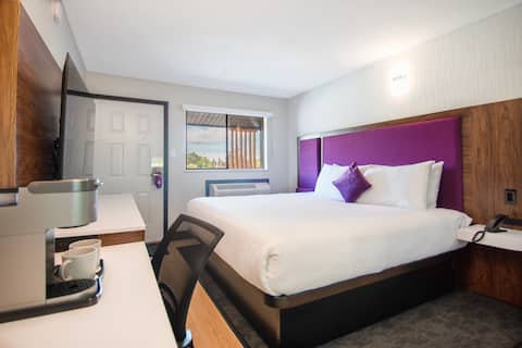 Modern King Hotel Room B