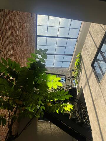 Condesa Art Deco House w/Terrace gallery image 2