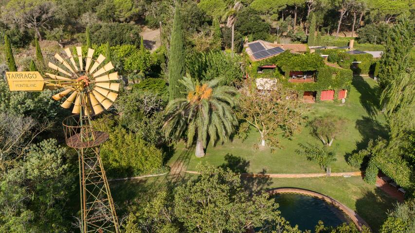 Casa Regàs y casa Georgina gallery image 4