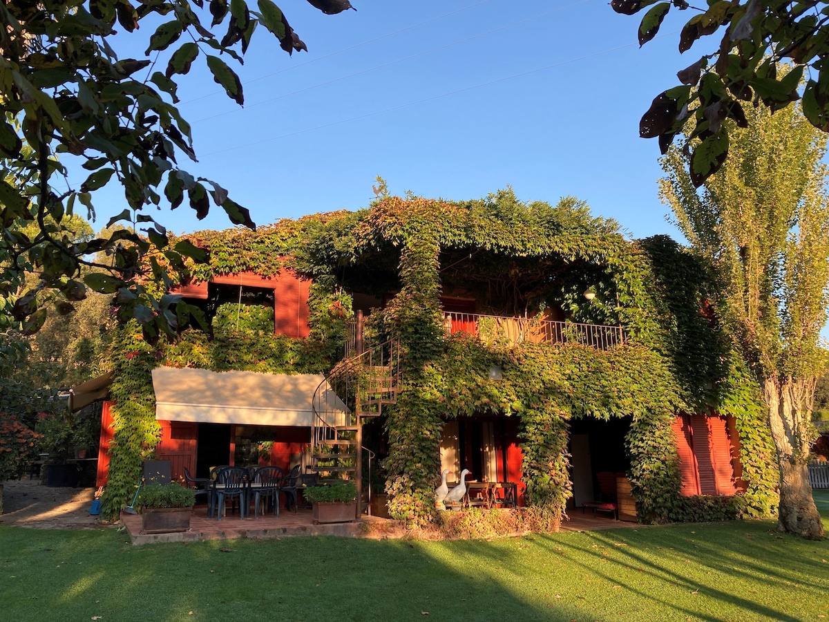 A two-story house is enveloped in lush green vines, blending harmoniously with the surroundings. Expansive outdoor areas are framed by trees, providing shaded spots for relaxation. A spiral staircase leads to a second level balcony, enhancing the natural aesthetic of the property.