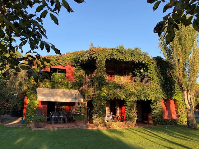 Casa Regàs y casa Georgina