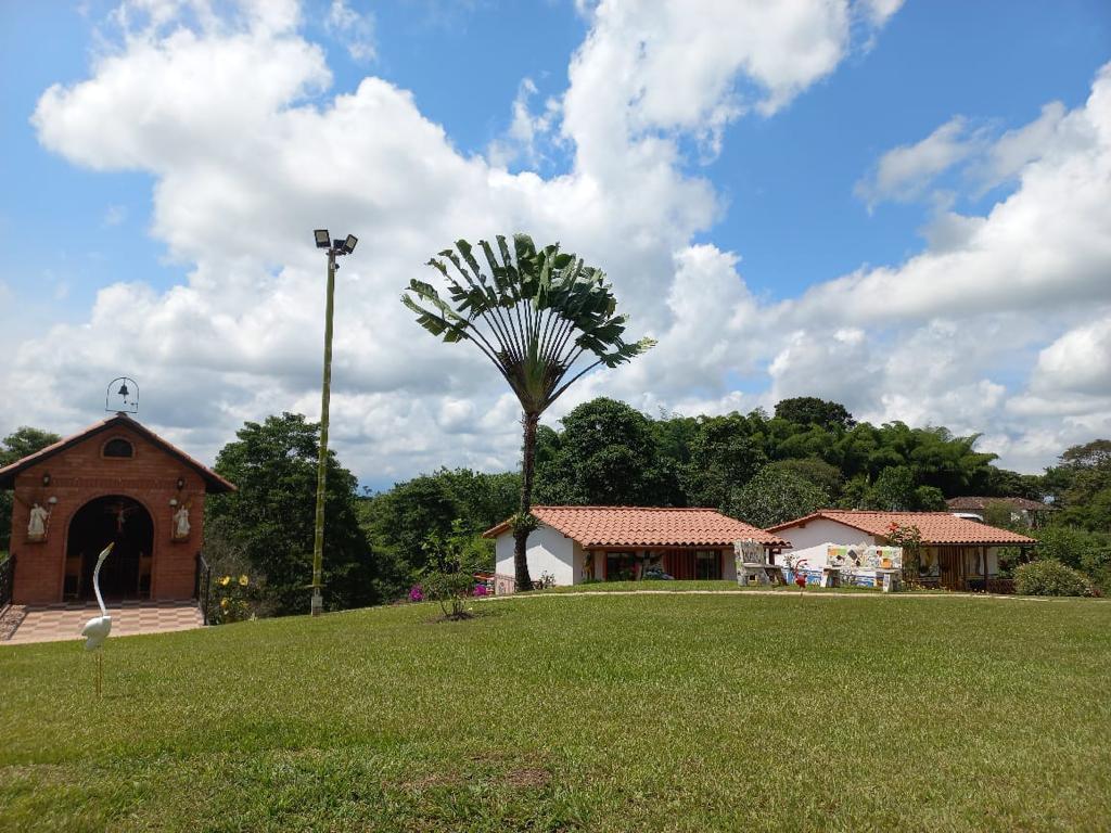 A spacious grassy area is visible, featuring a building with a decorative entrance and a thatched roof. Nearby, a unique palm tree adds height to the landscape, while lush greenery surrounds the property, enhancing the natural setting.