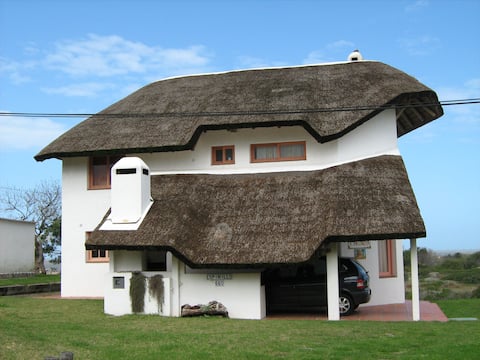 Palhota