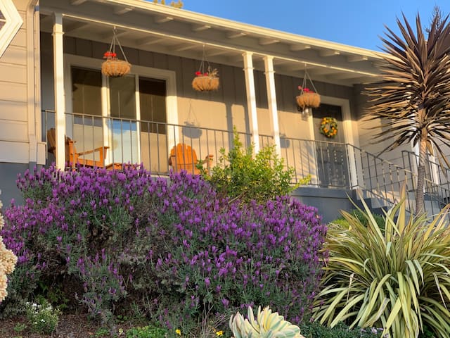 The Sunset View House gallery image 4