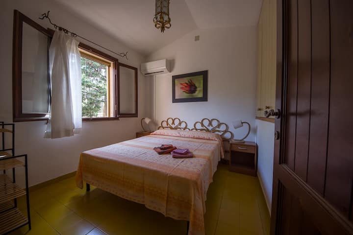 Quarto 1