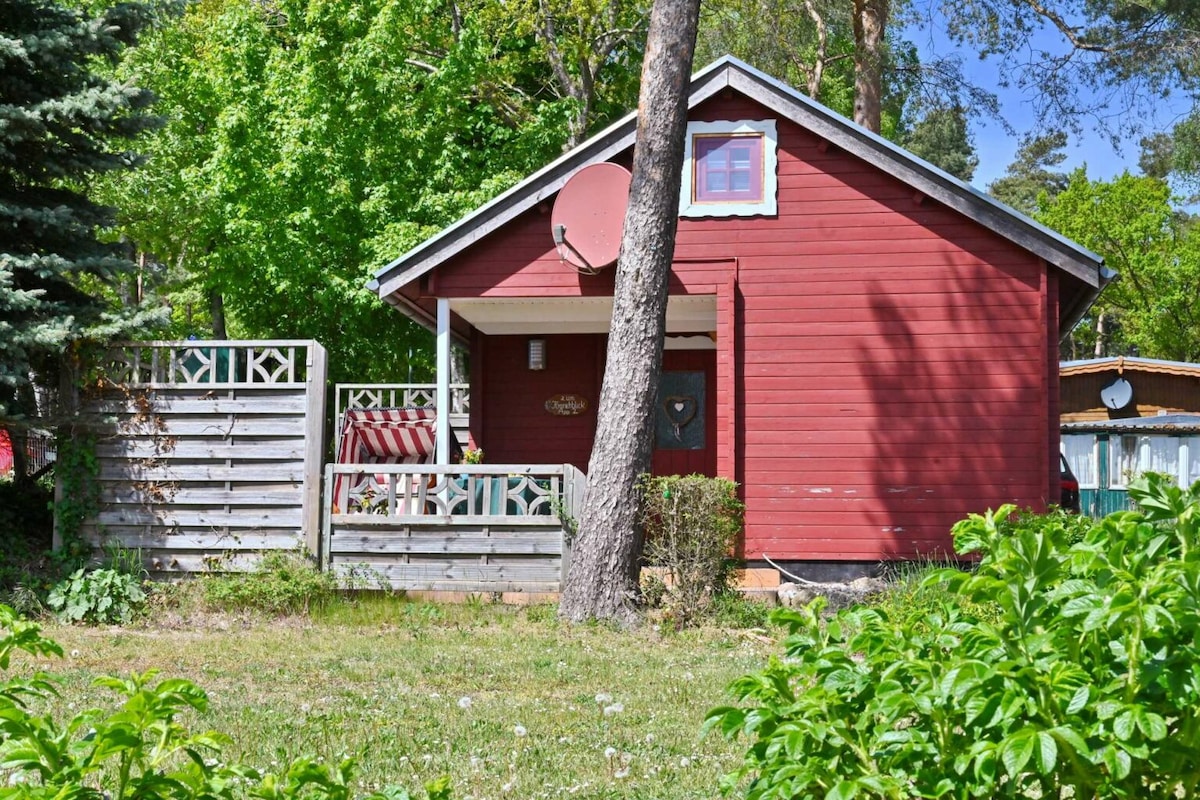A red cabin set among lush greenery features a welcoming entrance framed by a wooden fence. A satellite dish is mounted above the door, with vibrant trees providing shade. The surrounding area shows a grassy layout, enhancing the cabin's rustic charm.