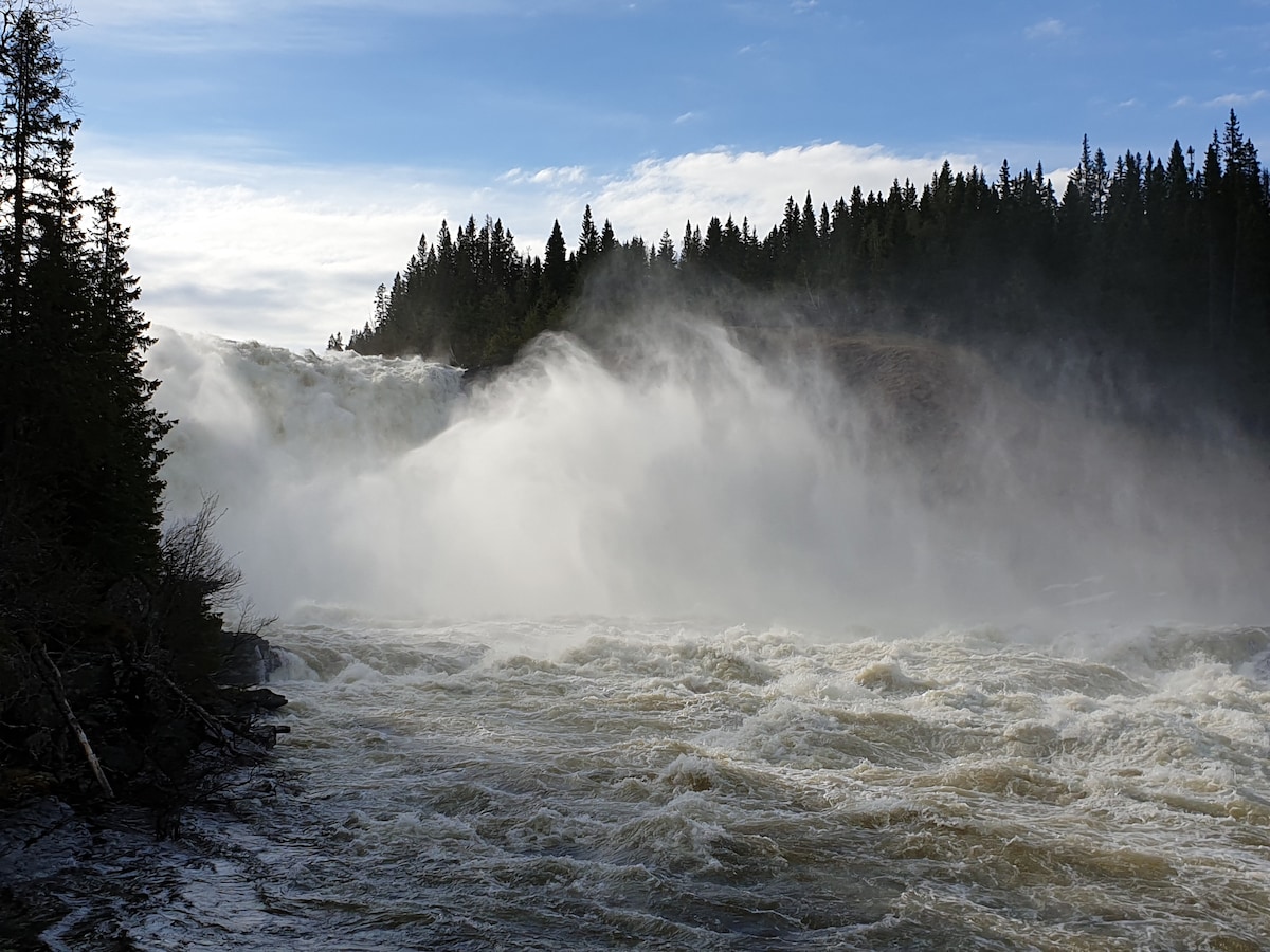 A dynamic landscape is depicted with rushing water cascading over a waterfall, surrounded by mist. Towering trees line the backdrop, enhancing the sense of natural beauty. The sky features a mix of blue and white clouds, creating a serene atmosphere.