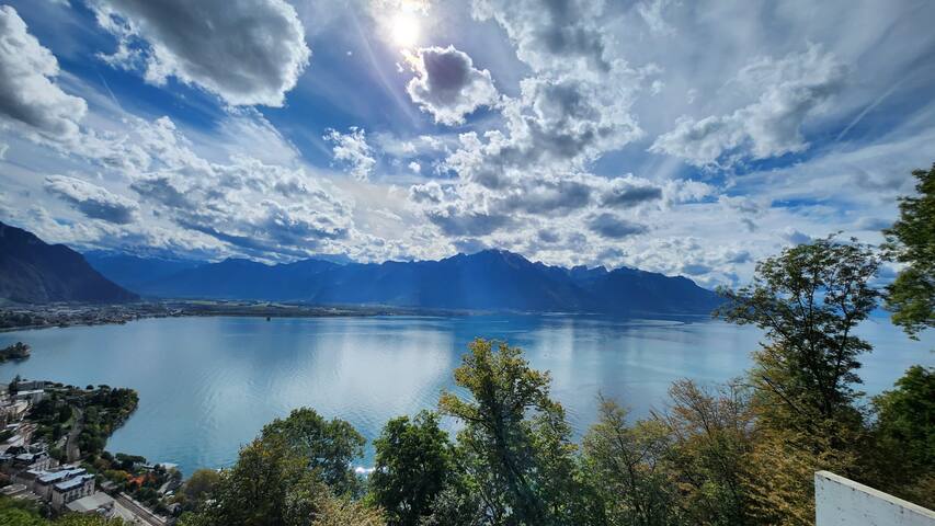 Maison d’architecte Vue & Faune gallery image 4