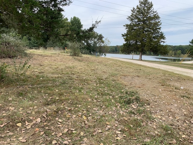 A grassy area is displayed next to a tranquil lake, with trees lining the background. The ground is covered in fallen leaves, suggesting a natural, rustic setting. A dirt road runs parallel to the water, providing access to nearby activities.