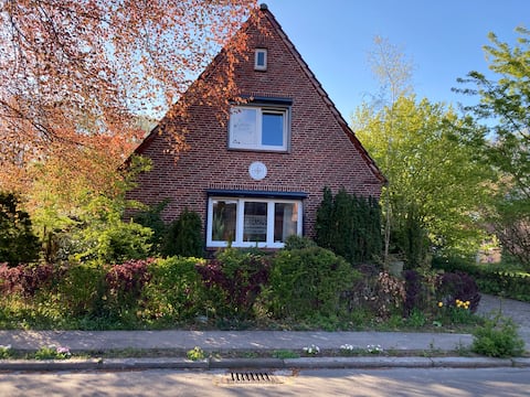 Cycling on the dike - Elbe/NOK