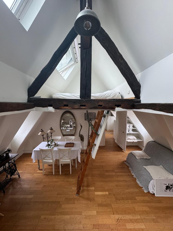Under The Roofs Experience - 巴黎