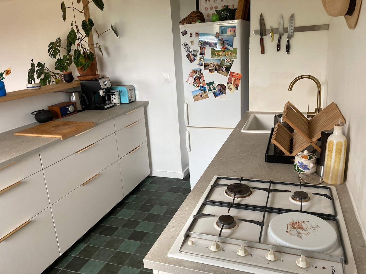 A modern kitchen is equipped with a gas stove, oven, and refrigerator. The countertop displays kitchen tools alongside cooking utensils. A plant hangs near the window, and personal items are visible on a bulletin board, contributing to a functional and welcoming environment.